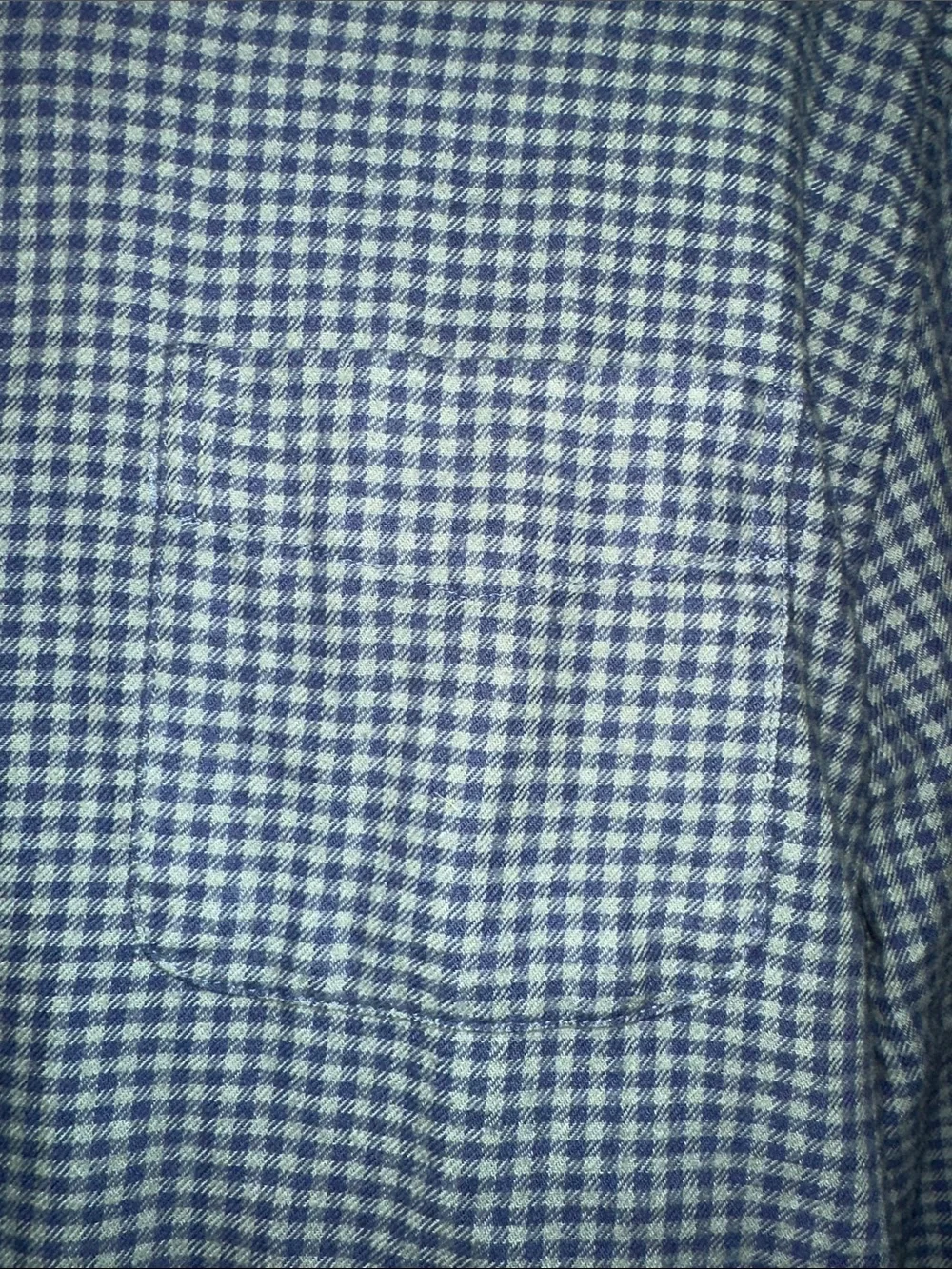 J. Crew Men's Blue and Green Mini Gingham Button-Down Shirt